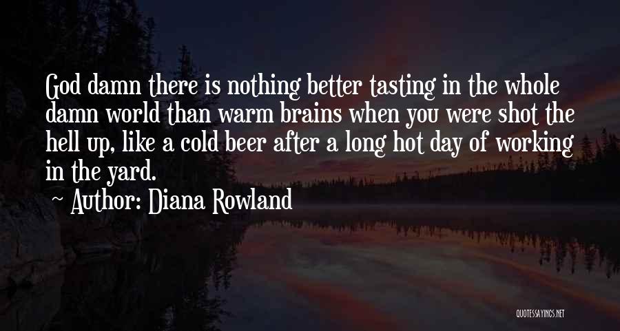 A Long Shot Quotes By Diana Rowland