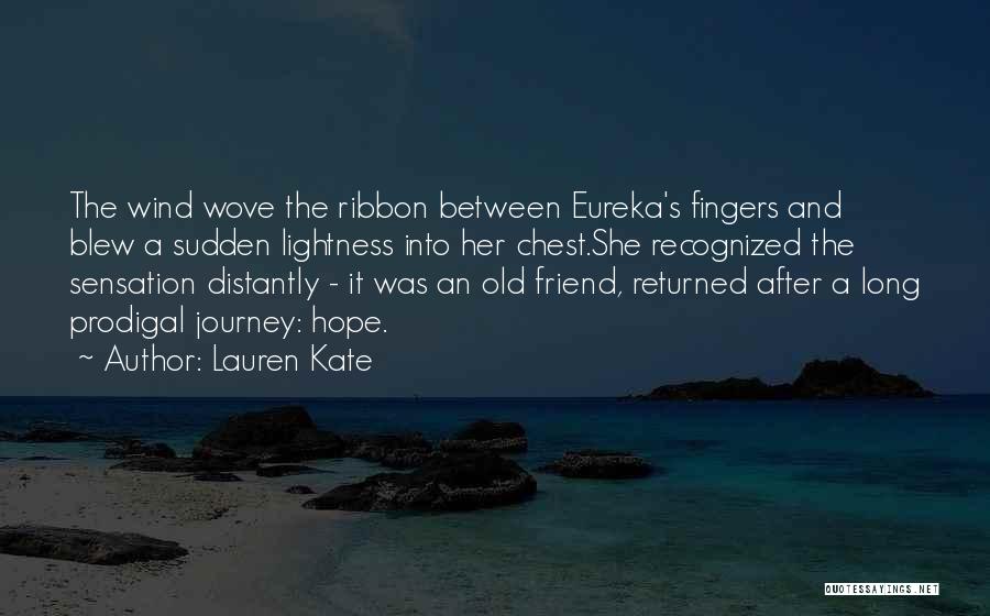A Long Way Gone Journey Quotes By Lauren Kate