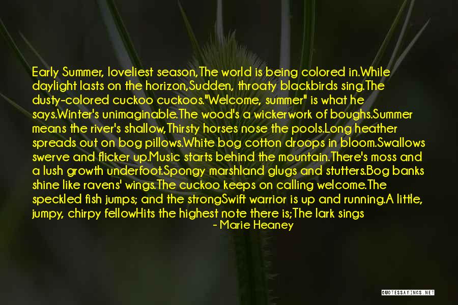 A Long While Quotes By Marie Heaney