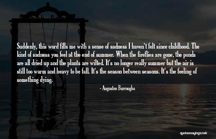 A Longer Fall Quotes By Augusten Burroughs A Longer Fall Quotes By Augusten Burroughs