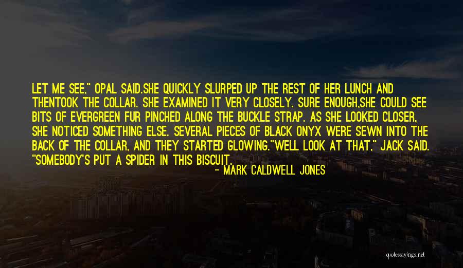 A Look Back Quotes By Mark Caldwell Jones A Look Back Quotes By Mark Caldwell Jones
