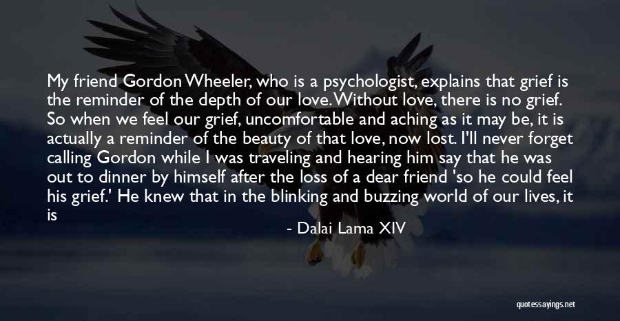 A Loss Of A Friend Quotes By Dalai Lama XIV A Loss Of A Friend Quotes By Dalai Lama XIV