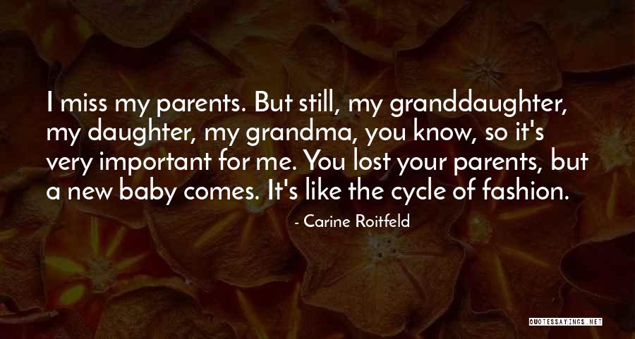 A Lost Baby Quotes By Carine Roitfeld A Lost Baby Quotes By Carine Roitfeld