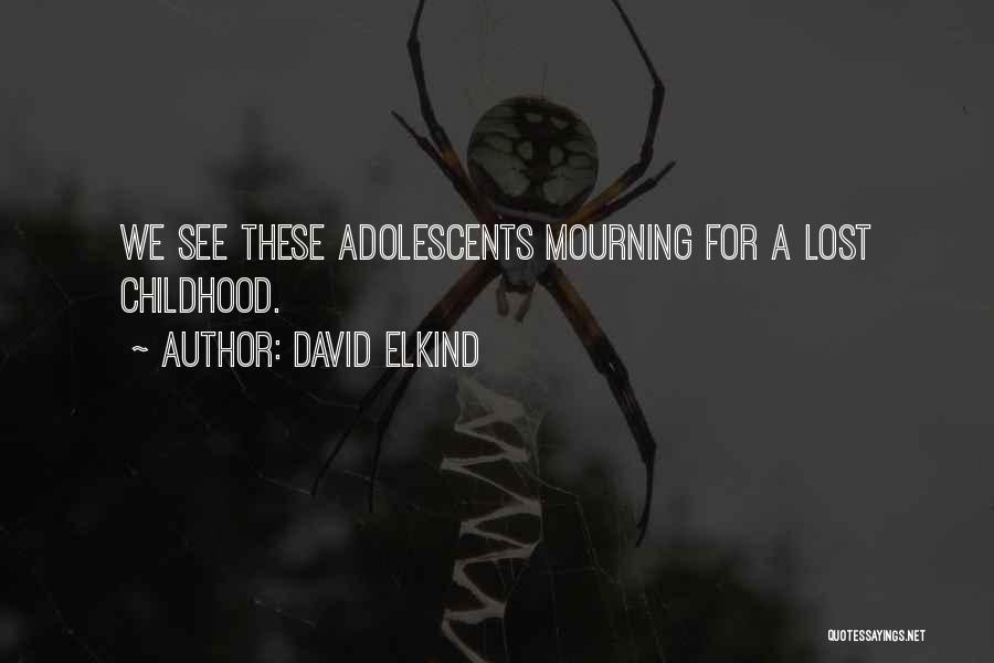 A Lost Childhood Quotes By David Elkind