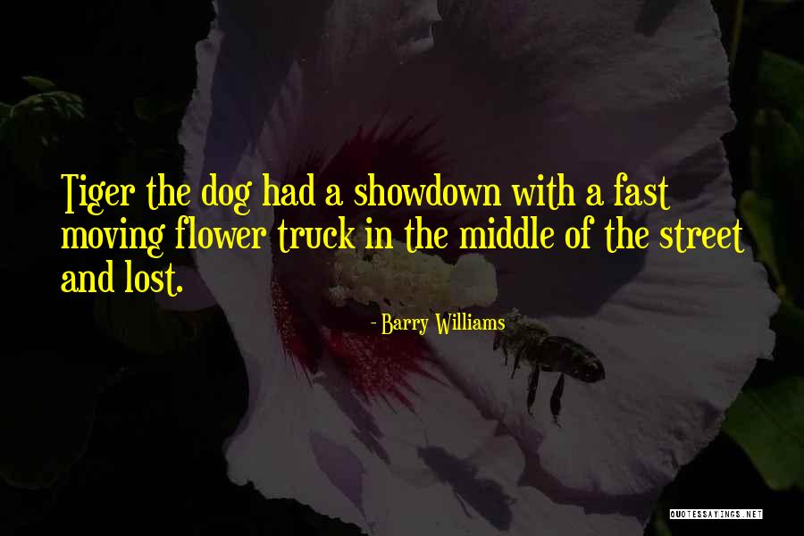 A Lost Dog Quotes By Barry Williams A Lost Dog Quotes By Barry Williams
