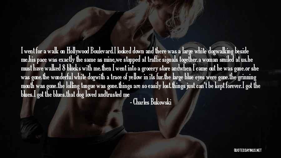A Lost Dog Quotes By Charles Bukowski A Lost Dog Quotes By Charles Bukowski