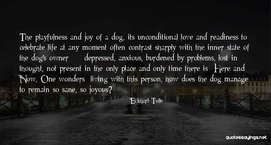 A Lost Dog Quotes By Eckhart Tolle A Lost Dog Quotes By Eckhart Tolle