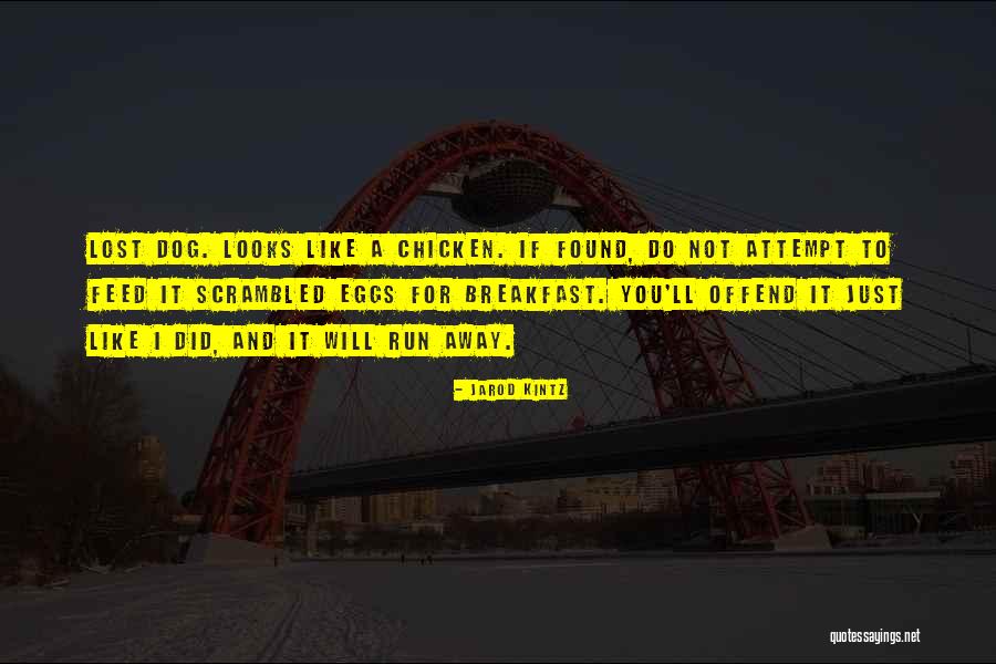 A Lost Dog Quotes By Jarod Kintz A Lost Dog Quotes By Jarod Kintz