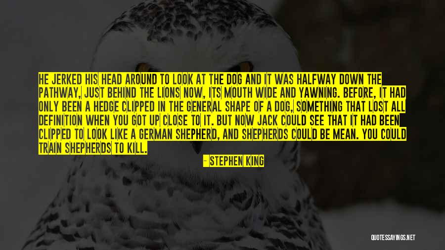A Lost Dog Quotes By Stephen King A Lost Dog Quotes By Stephen King