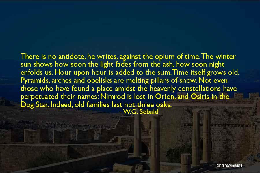 A Lost Dog Quotes By W.G. Sebald A Lost Dog Quotes By W.G. Sebald