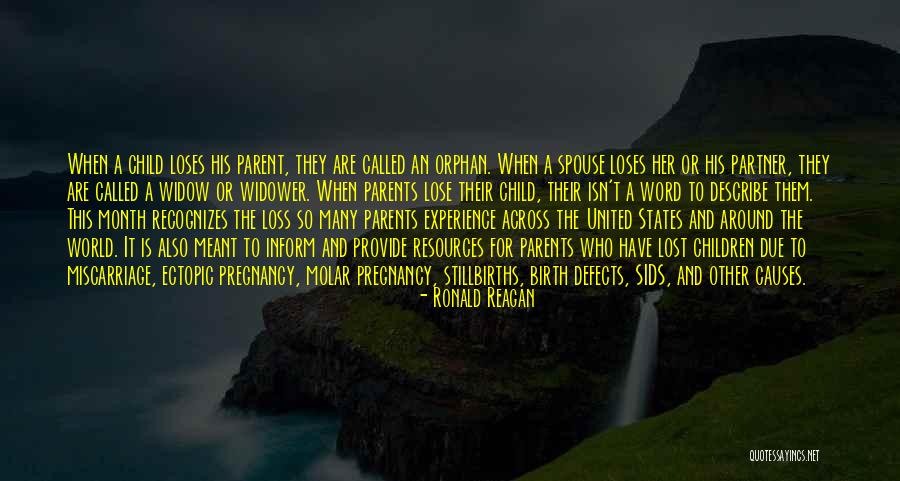 A Lost Parent Quotes By Ronald Reagan