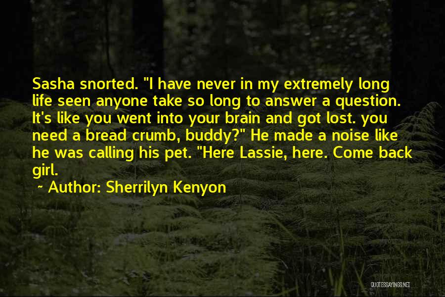 A Lost Pet Quotes By Sherrilyn Kenyon