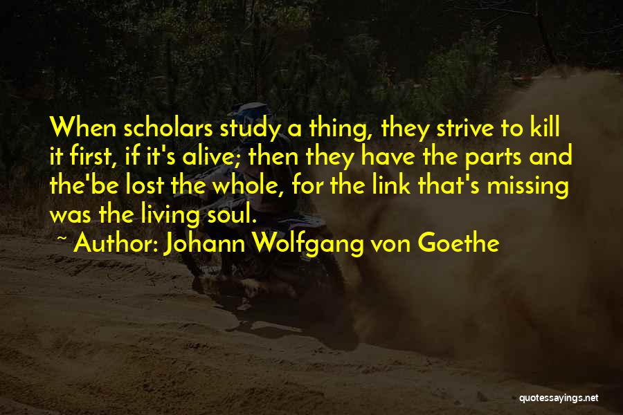 A Lost Soul Quotes By Johann Wolfgang Von Goethe