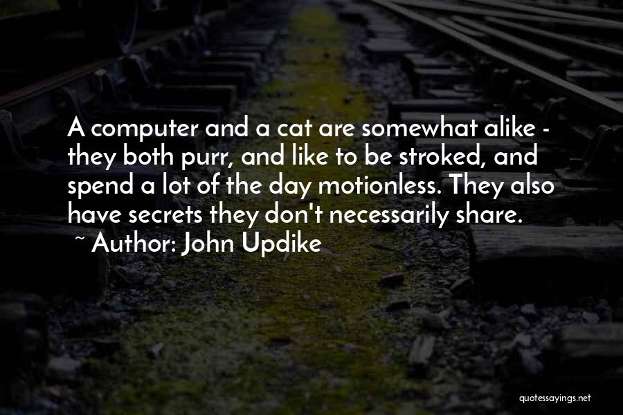 A Lot Alike Quotes By John Updike