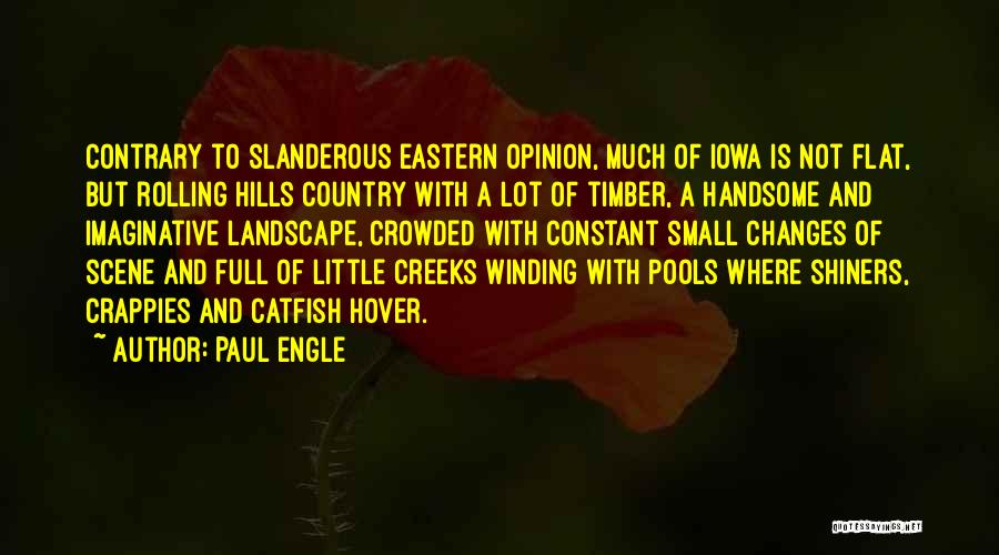 A Lot Changes Quotes By Paul Engle