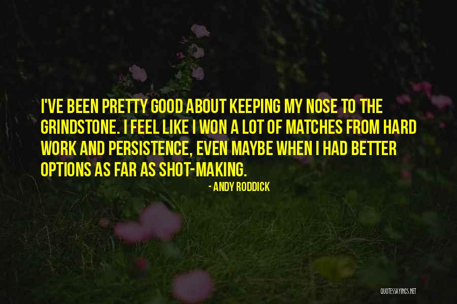 A Lot Of Hard Work Quotes By Andy Roddick A Lot Of Hard Work Quotes By Andy Roddick