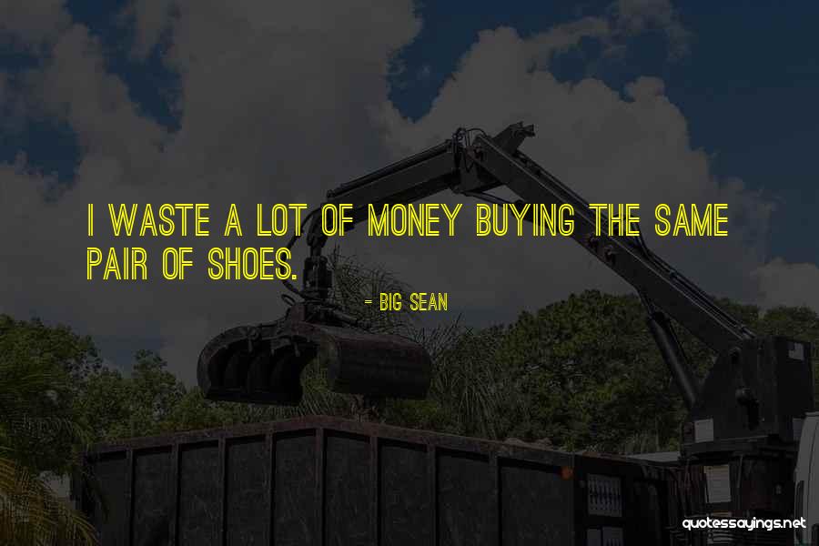 A Lot Of Money Quotes By Big Sean