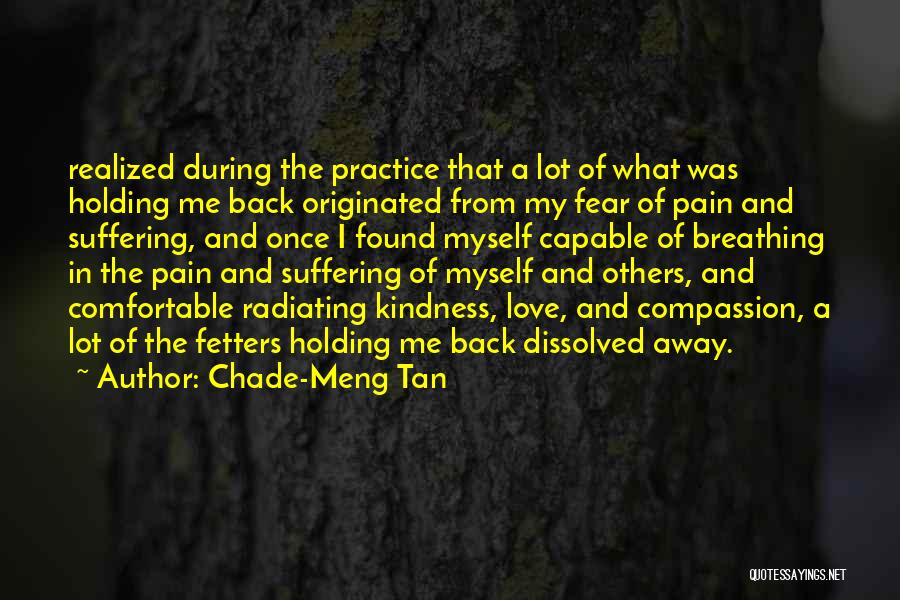 A Lot Of Pain Quotes By Chade-Meng Tan