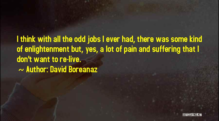 A Lot Of Pain Quotes By David Boreanaz