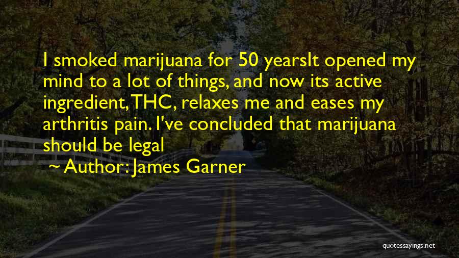 A Lot Of Pain Quotes By James Garner