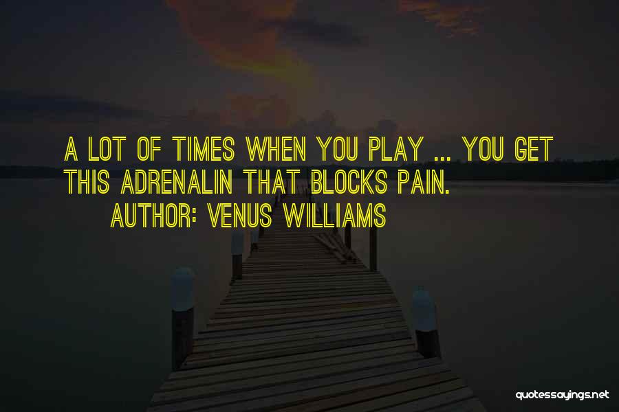 A Lot Of Pain Quotes By Venus Williams