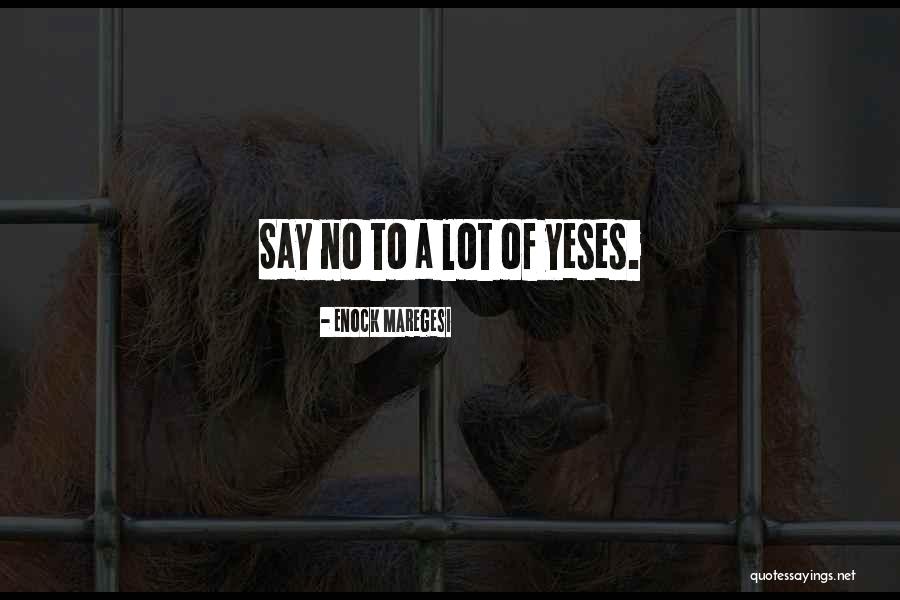 A Lot Of Yeses Quotes By Enock Maregesi A Lot Of Yeses Quotes By Enock Maregesi