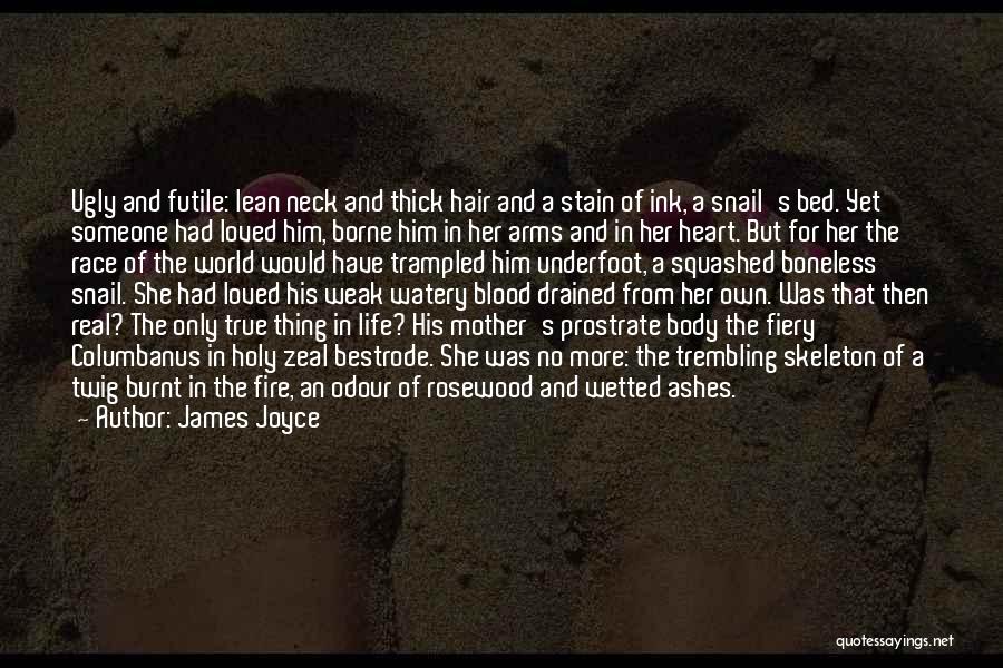 A Loved One Going To Heaven Quotes By James Joyce