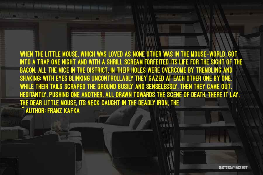 A Loved One's Death Quotes By Franz Kafka
