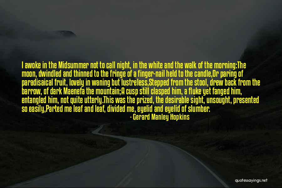 A Lovely Night Quotes By Gerard Manley Hopkins A Lovely Night Quotes By Gerard Manley Hopkins
