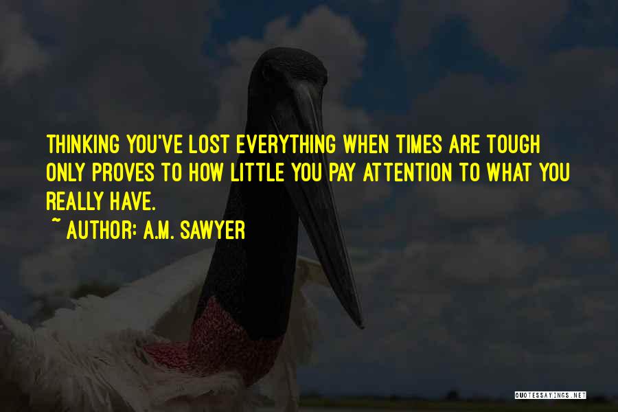 A.M. Sawyer Quotes 430040