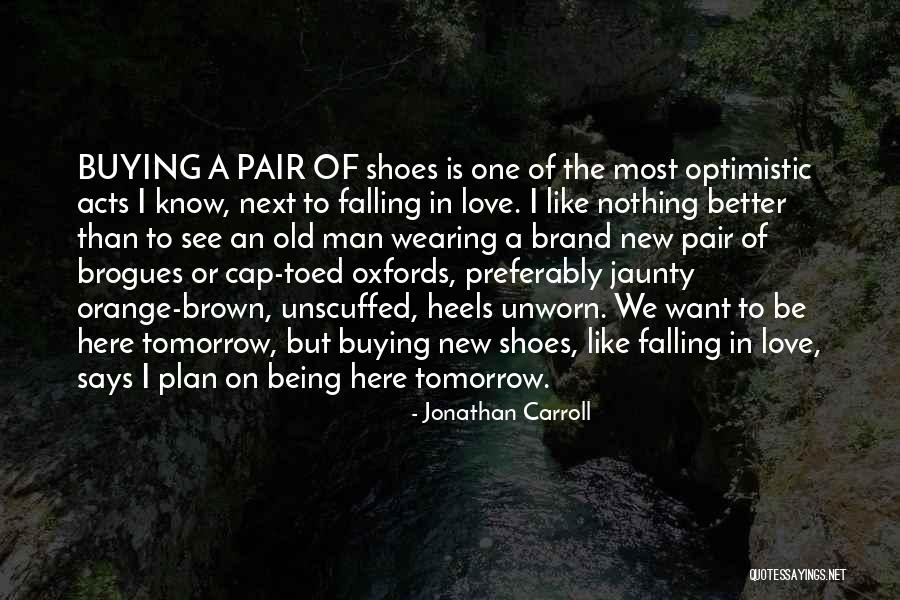 A Man Falling In Love Quotes By Jonathan Carroll