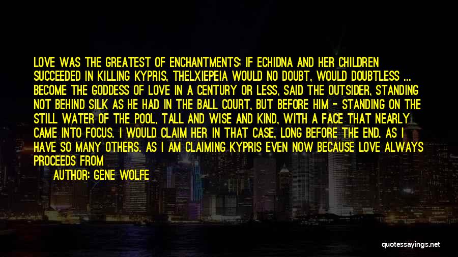 A Man In Love Quotes By Gene Wolfe