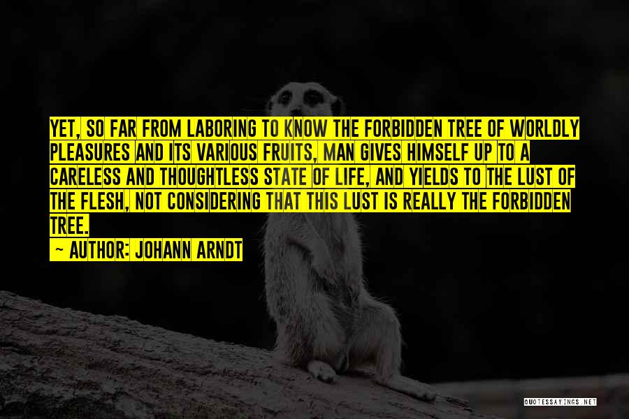 A Man Is Lust Quotes By Johann Arndt