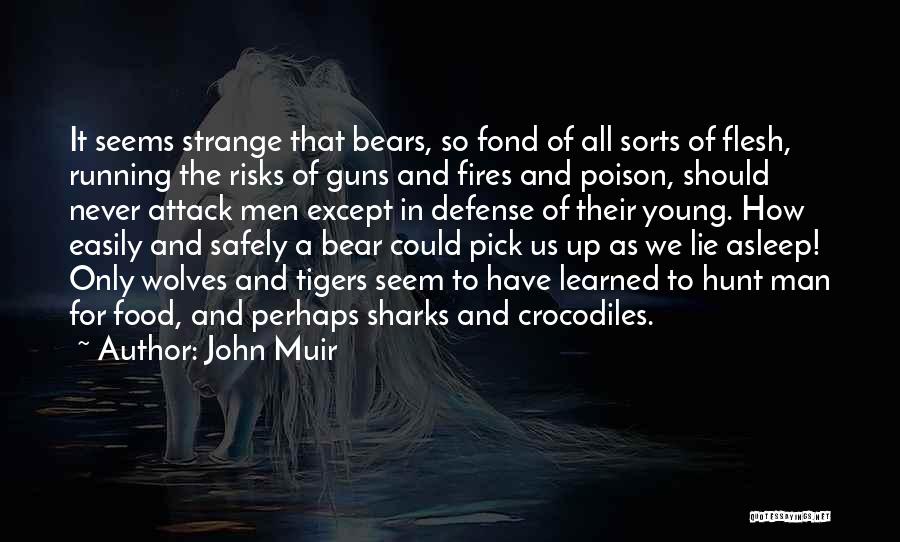 A Man Should Never Quotes By John Muir