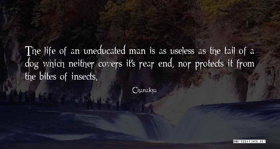 A Man That Protects Quotes By Chanakya A Man That Protects Quotes By Chanakya