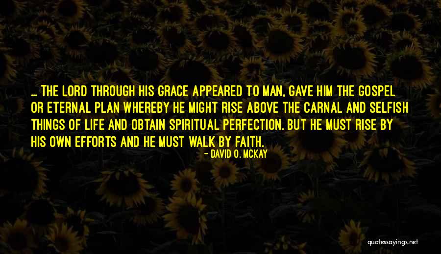 A Man With No Plan Quotes By David O. McKay