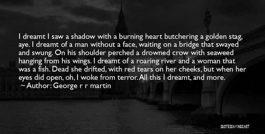 A Man Without A Dream Quotes By George R R Martin