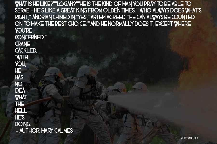 A Man You Like Quotes By Mary Calmes
