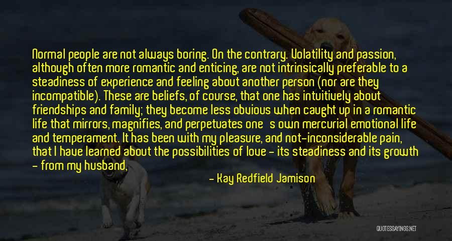 A Man's Family Quotes By Kay Redfield Jamison