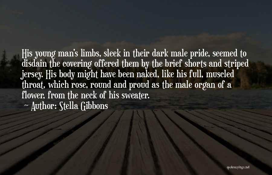 A Man's Pride Quotes By Stella Gibbons