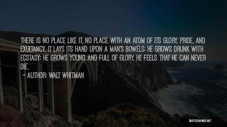 A Man's Pride Quotes By Walt Whitman