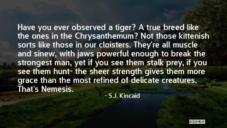 A Man's Strength Quotes By S.J. Kincaid