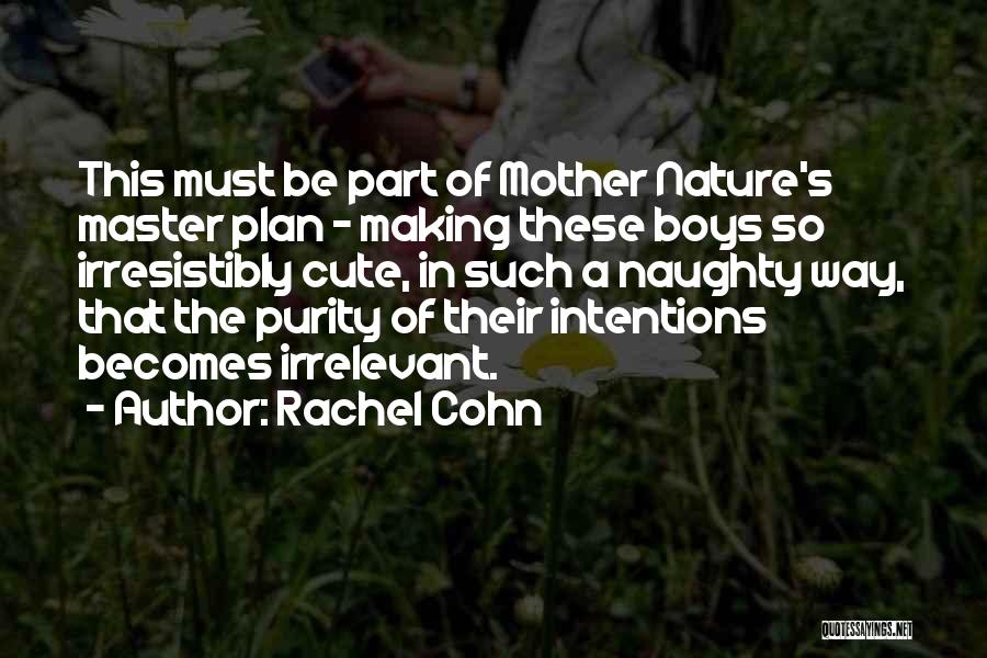 A Master Plan Quotes By Rachel Cohn