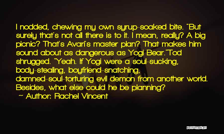 A Master Plan Quotes By Rachel Vincent