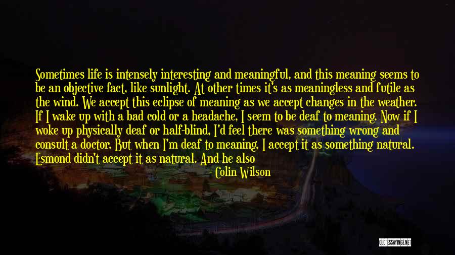 A Meaningful Life Quotes By Colin Wilson A Meaningful Life Quotes By Colin Wilson