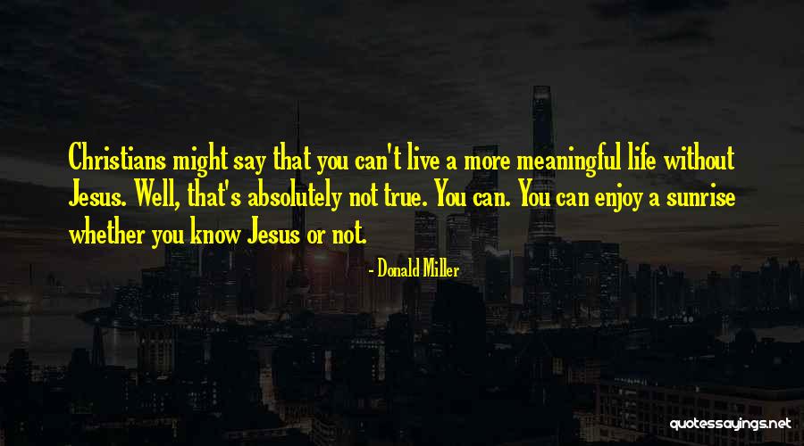 A Meaningful Life Quotes By Donald Miller A Meaningful Life Quotes By Donald Miller