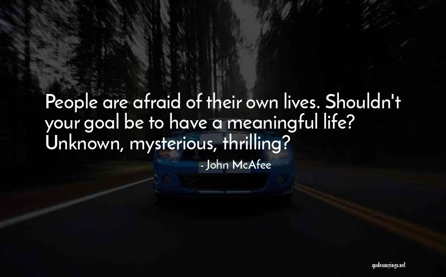 A Meaningful Life Quotes By John McAfee A Meaningful Life Quotes By John McAfee