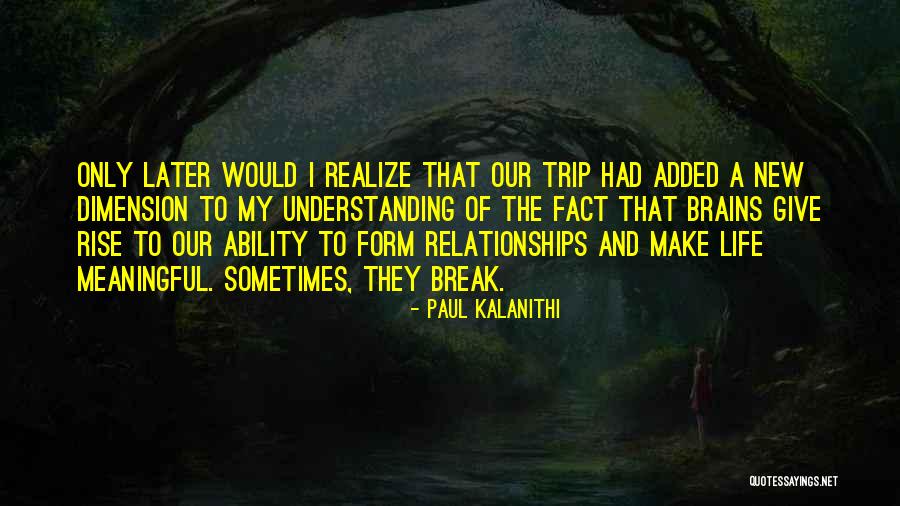 A Meaningful Life Quotes By Paul Kalanithi A Meaningful Life Quotes By Paul Kalanithi