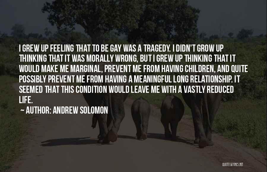 A Meaningful Relationship Quotes By Andrew Solomon