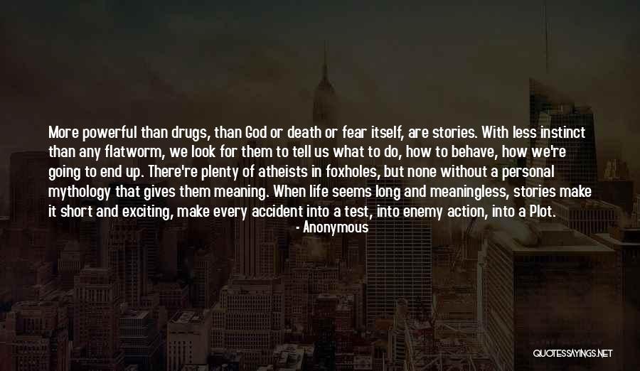 A Meaningless Life Quotes By Anonymous